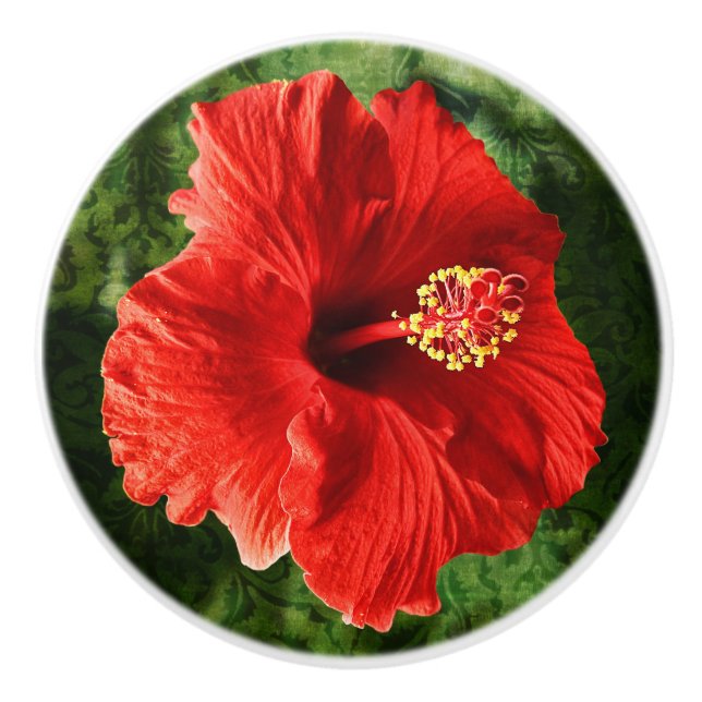 Bouton De Porte En Céramique Ketmie rouge (Devant)