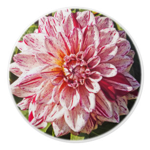 BOUTON DE PORTE EN CÉRAMIQUE KNOB CÉRAMIQUE /RED ET WHITE DAHLIA