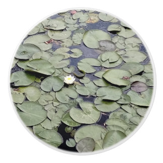 Bouton De Porte En Céramique Lake Lily Pad Explosion