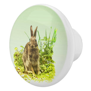 Bouton De Porte En Céramique Lapin de lapin doux en noix de céramique d'herbe