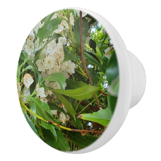 Bouton De Porte En Céramique Laurel  (Droite)