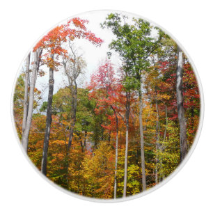 Bouton De Porte En Céramique L'automne dans la forêt Photographie d'automne col
