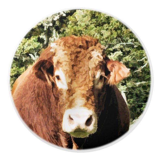 BOUTON DE PORTE EN CÉRAMIQUE LE BULL (Devant)