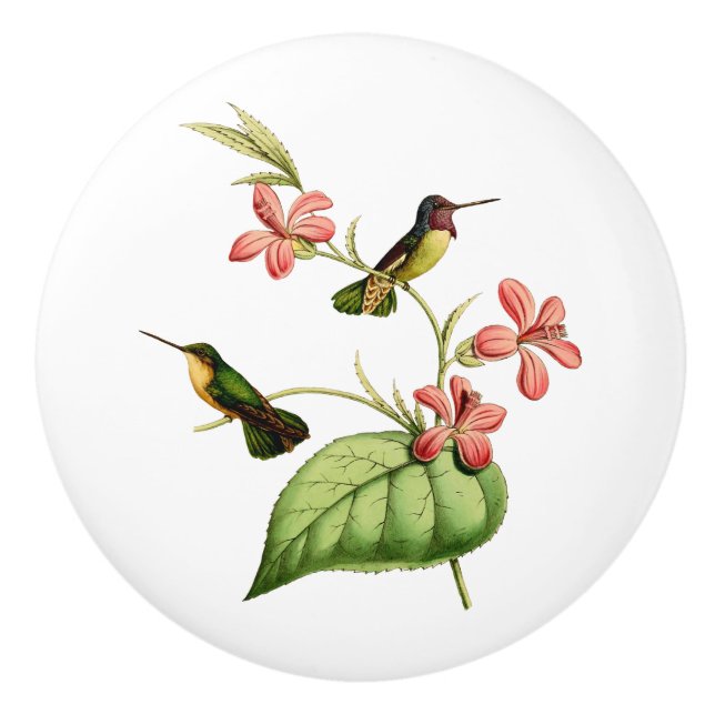 Bouton De Porte En Céramique Le colibri de la côte (Devant)