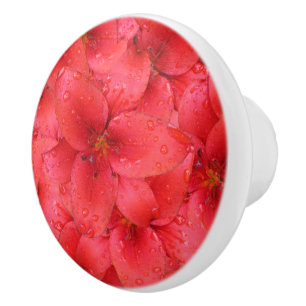 Bouton De Porte En Céramique Lis rouges de jardin de photo de fleur