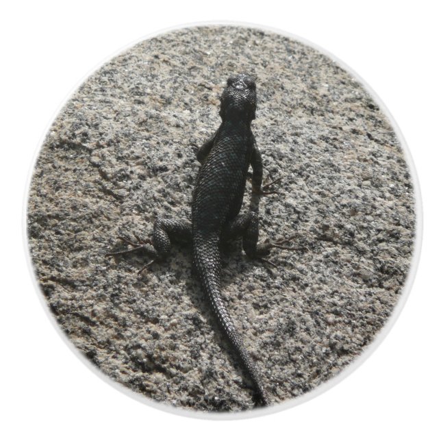 Bouton De Porte En Céramique Lizard noir (Devant)