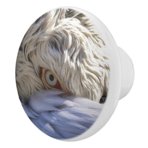 Bouton De Porte En Céramique L'oeil d'un pélican