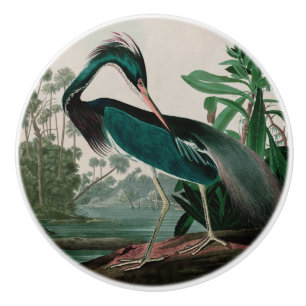Bouton De Porte En Céramique Louisiana Heron Birds of America Audubon Imprimer
