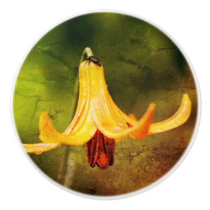 Bouton De Porte En Céramique Lys De Canada Sauvage Avec Insecte Abstrait 