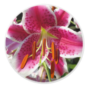Bouton De Porte En Céramique Lys roses fleurs tropicales roses rose