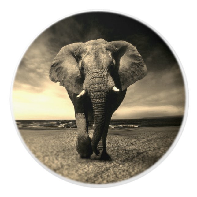 Bouton De Porte En Céramique Majestic Wild Bull Elephant à Sepia (Devant)