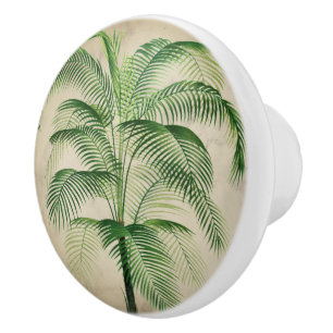 Bouton De Porte En Céramique Marbre élégant et élégant, Palm Tropical