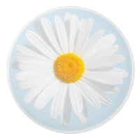 marguerite blanche