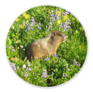 Bouton De Porte En Céramique Marmot dans le Mont Rainier Fleurs sauvages