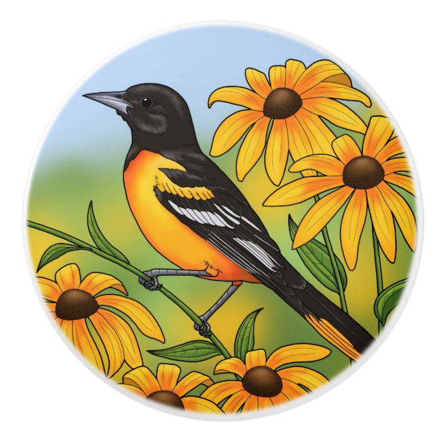 Bouton De Porte En Céramique MD State Bird Oriole & Black eyed Susan Flower (Devant)