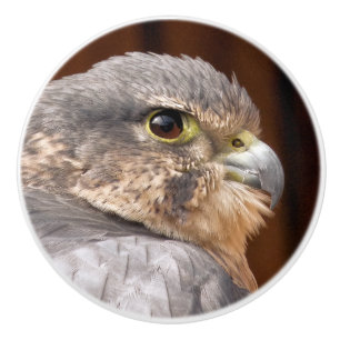 BOUTON DE PORTE EN CÉRAMIQUE MERLIN FALCON OISEAU DE PREY