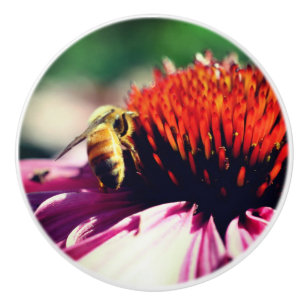 Bouton De Porte En Céramique Miel Abeille Sur Le Confleur Fermer