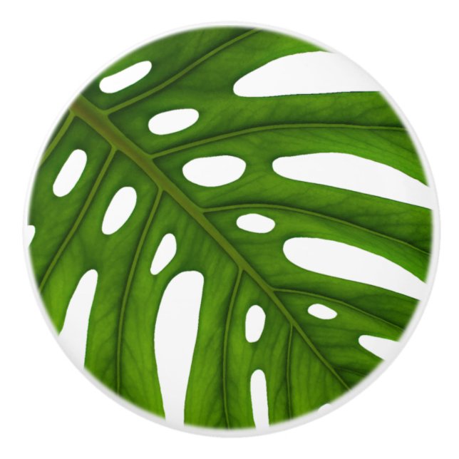 Bouton De Porte En Céramique Monstera Leaf ceramic Knob (Devant)