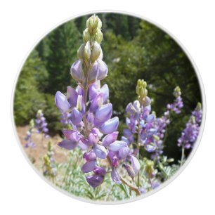 Bouton De Porte En Céramique Mont Lupins