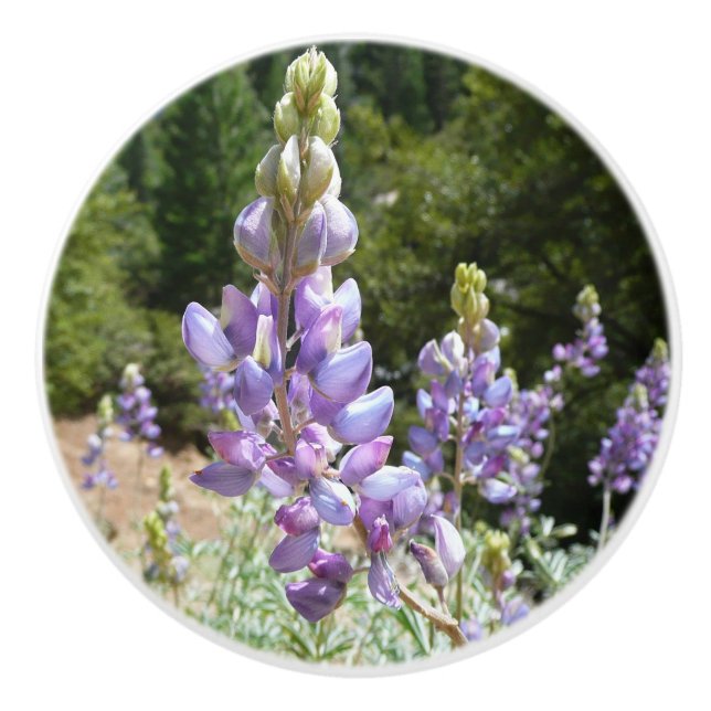 Bouton De Porte En Céramique Mont Lupins (Devant)