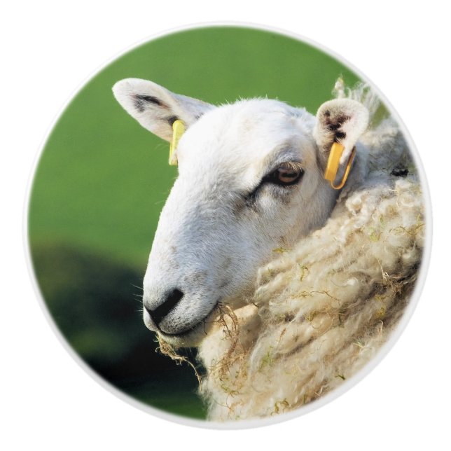 BOUTON DE PORTE EN CÉRAMIQUE MOQUETTE (Devant)