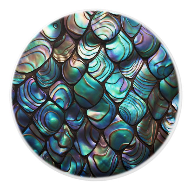 Bouton De Porte En Céramique Motif Abstrait Abalone Shell (Devant)