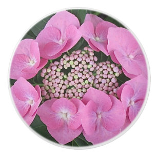Bouton De Porte En Céramique Mouette en céramique Lacecap Hydrangea
