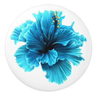 Bouton De Porte En Céramique Mouillage en céramique à fleurs bleues