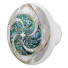 Nautilus Shell - Abalone et Pearl