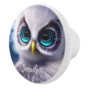 Bouton De Porte En Céramique Nom personnalisé chouette bleu cristal oeil bébé h