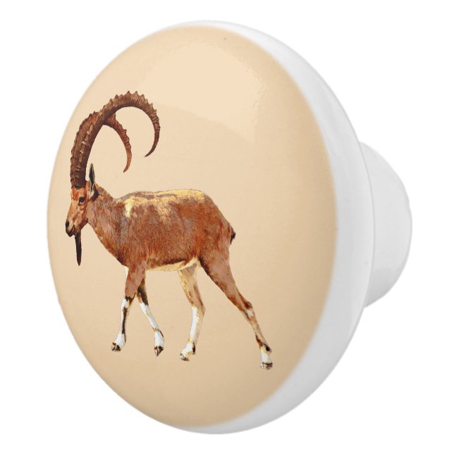 Bouton De Porte En Céramique Nubian Ibex - Ein Gedi (Droite)