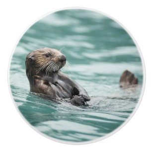 Bouton De Porte En Céramique Observation de la Loupe de mer