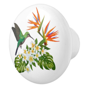 Bouton De Porte En Céramique Oiseaux floraux du Paradis et des Oiseaux Humming