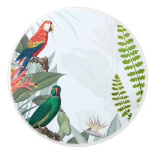 Bouton De Porte En Céramique Oiseaux tropicaux Perroquets et feuillage