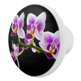 Bouton De Porte En Céramique Orchidée blanche et violette