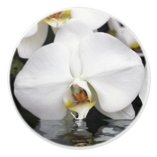 Bouton De Porte En Céramique Orchidée émergée de l'armoire d'eau et de tiroir à
