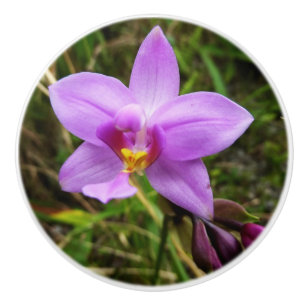 Bouton De Porte En Céramique Orchidée sauvage violette Fleur tropicale