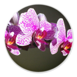 Bouton De Porte En Céramique Orchidées roses