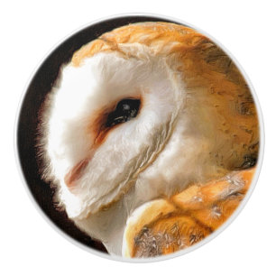 BOUTON DE PORTE EN CÉRAMIQUE OWLS