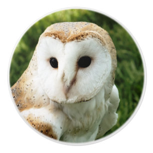 BOUTON DE PORTE EN CÉRAMIQUE OWLS
