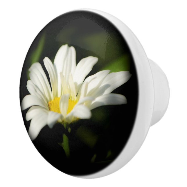 Bouton De Porte En Céramique Oxyeye Daisy Ceramic Pull (Droite)
