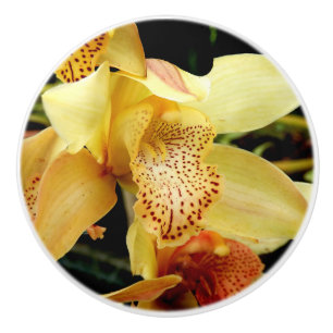 Bouton De Porte En Céramique Pale Yellow Cymbidium Orchid Ceramic Knob