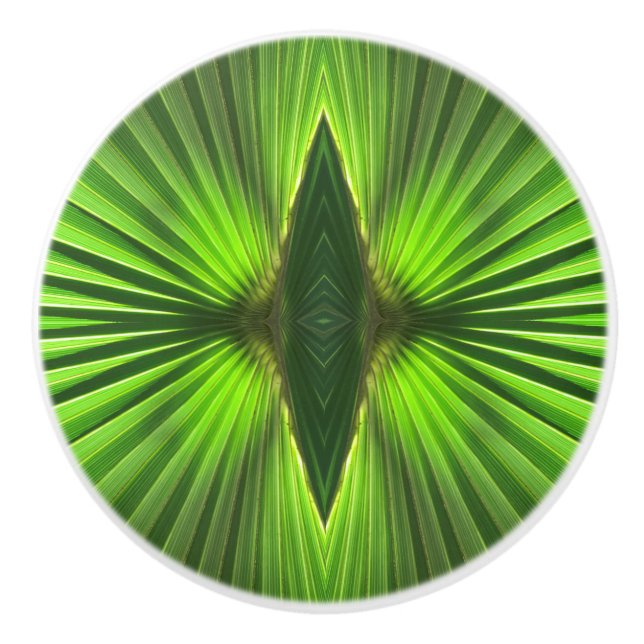 Bouton De Porte En Céramique Palm Life | Green Palm Frond (Devant)