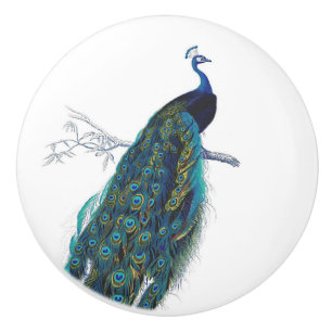 Bouton De Porte En Céramique Paon bleu avec de belles plumes de queue