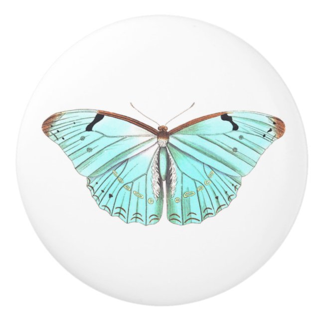 Bouton De Porte En Céramique Papillon Aqua (Devant)