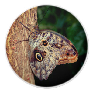 Bouton De Porte En Céramique Papillon de hibou Brown 