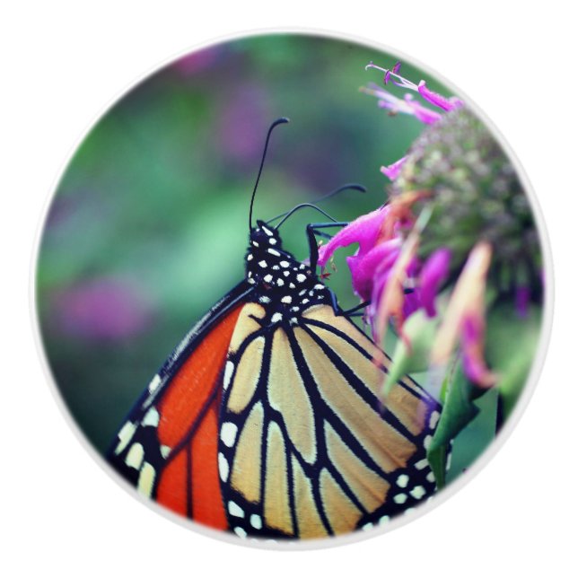 Bouton De Porte En Céramique Papillon Monarque En Fleur Fermer (Devant)