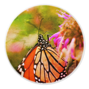 Bouton De Porte En Céramique Papillon Monarque Sur Fleur Fermer Abstrait