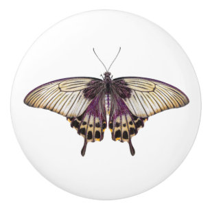 Bouton De Porte En Céramique Papillon violet et jaune avec de longues ailes arr