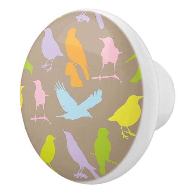 Bouton De Porte En Céramique Pastel Coloured Variété d'oiseaux Motif (Droite)